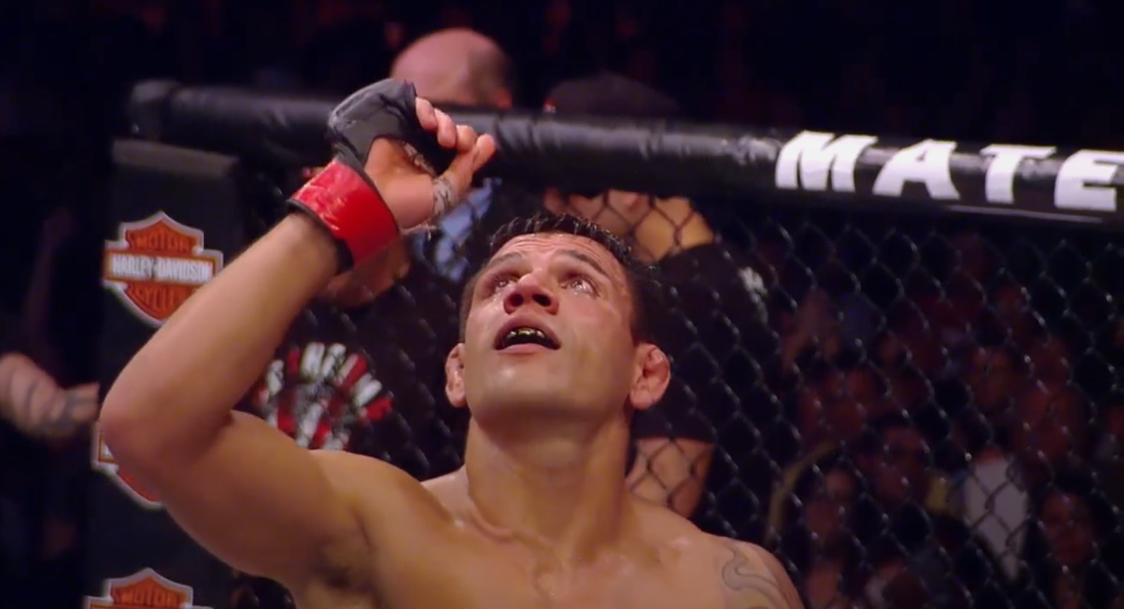 Rafael Dos Anjos