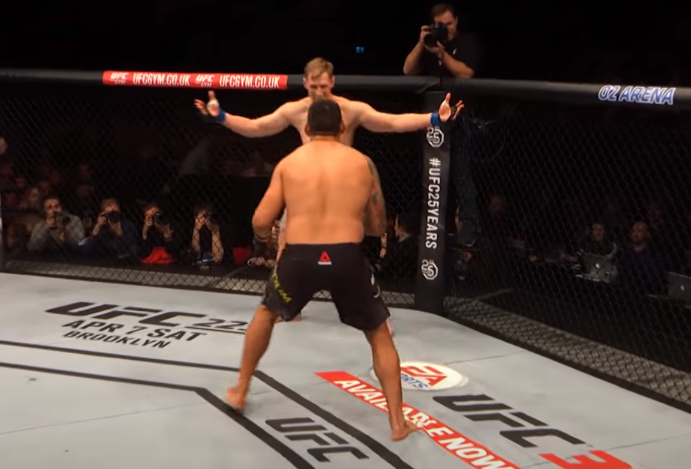 Alexander Volkov vs Fabricio Werdum