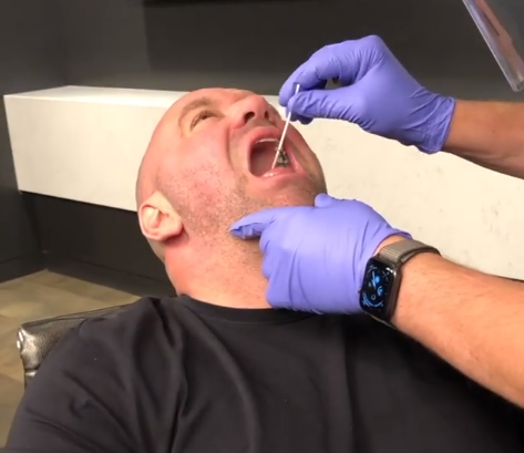 Dana White