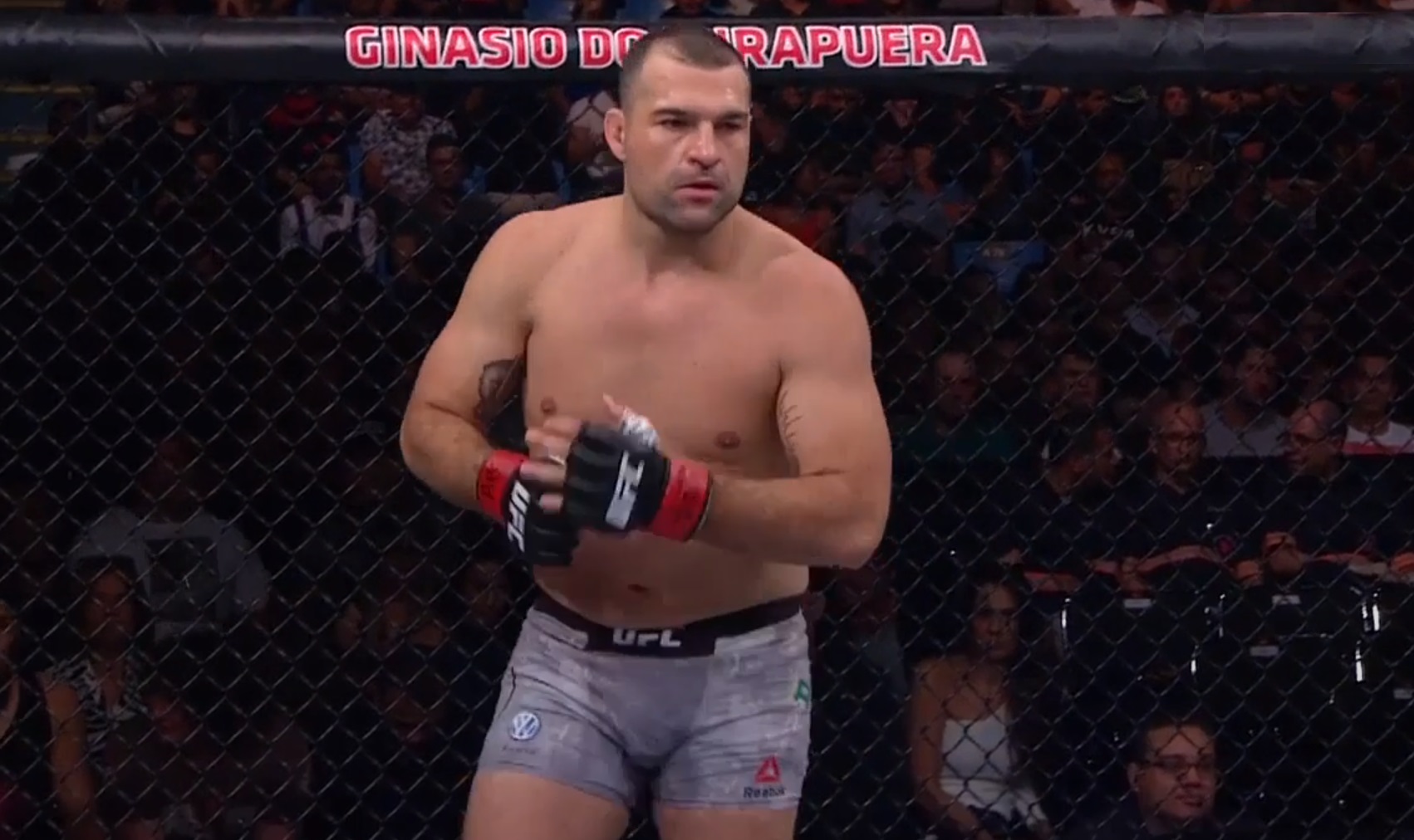 Shogun Rua