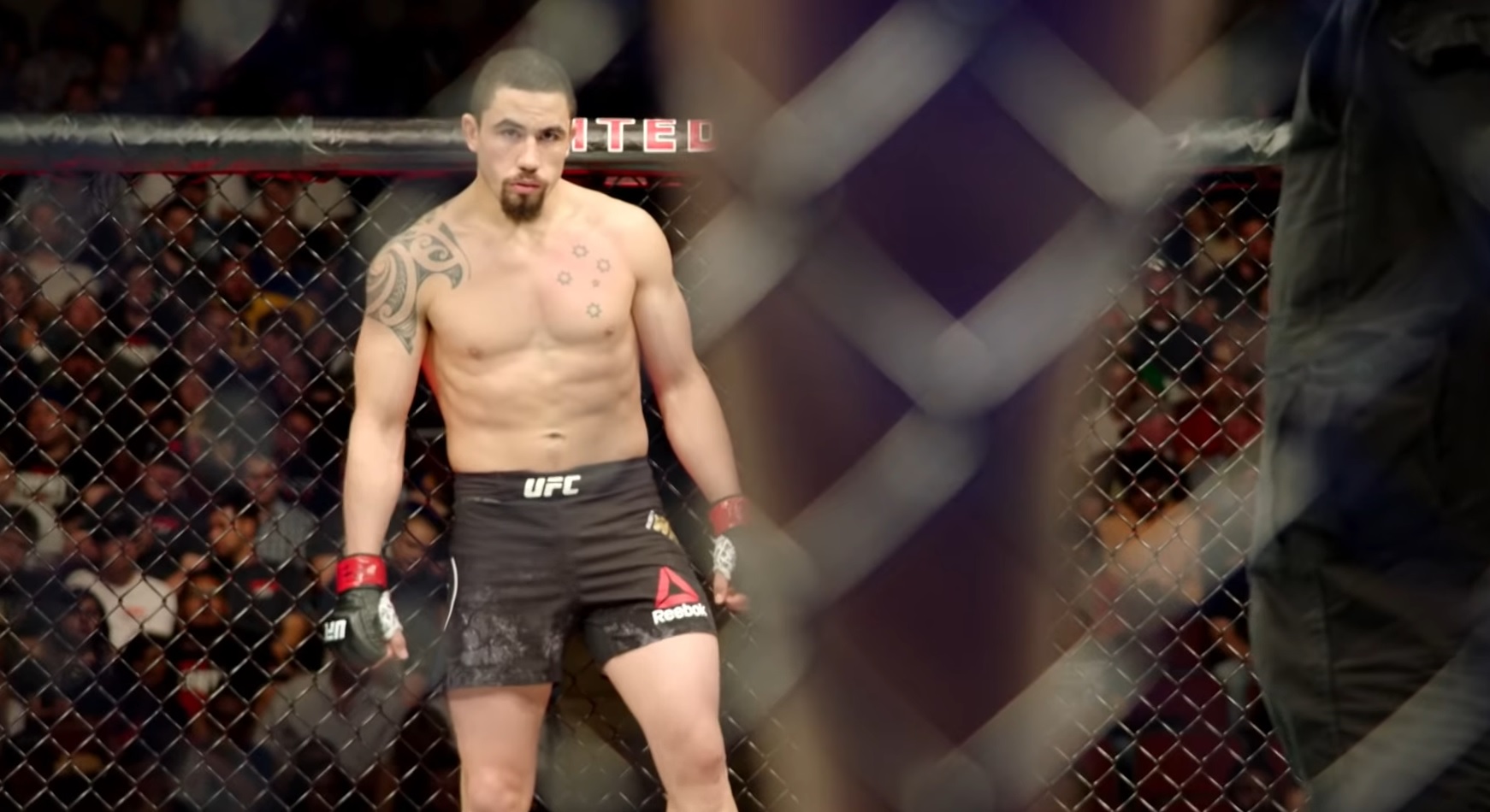 Robert Whittaker