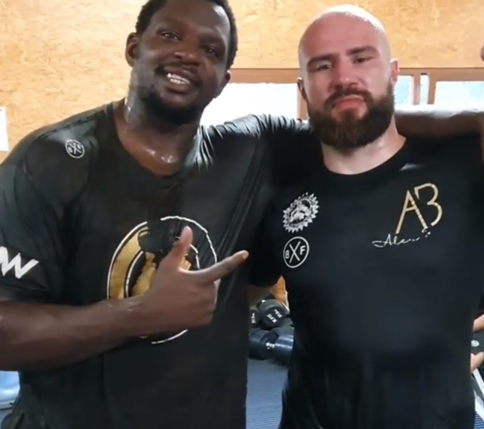 Dillian Whyte i Alen Babić