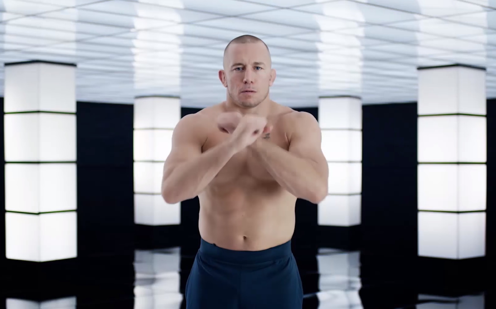 Georges St-Pierre