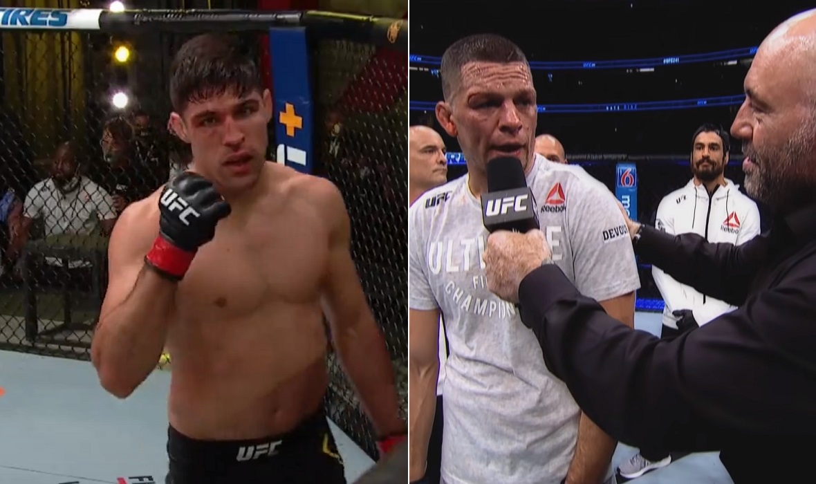 Vicente Luque i Nate Diaz