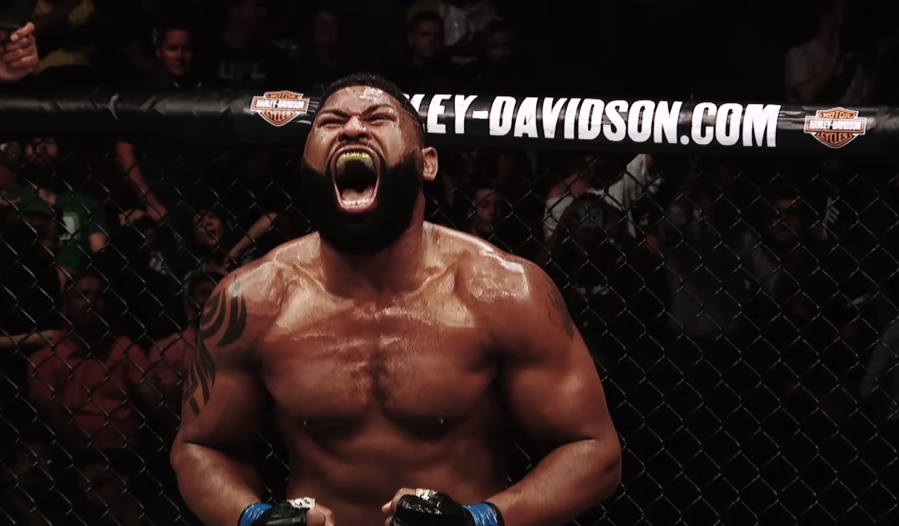 Curtis Blaydes