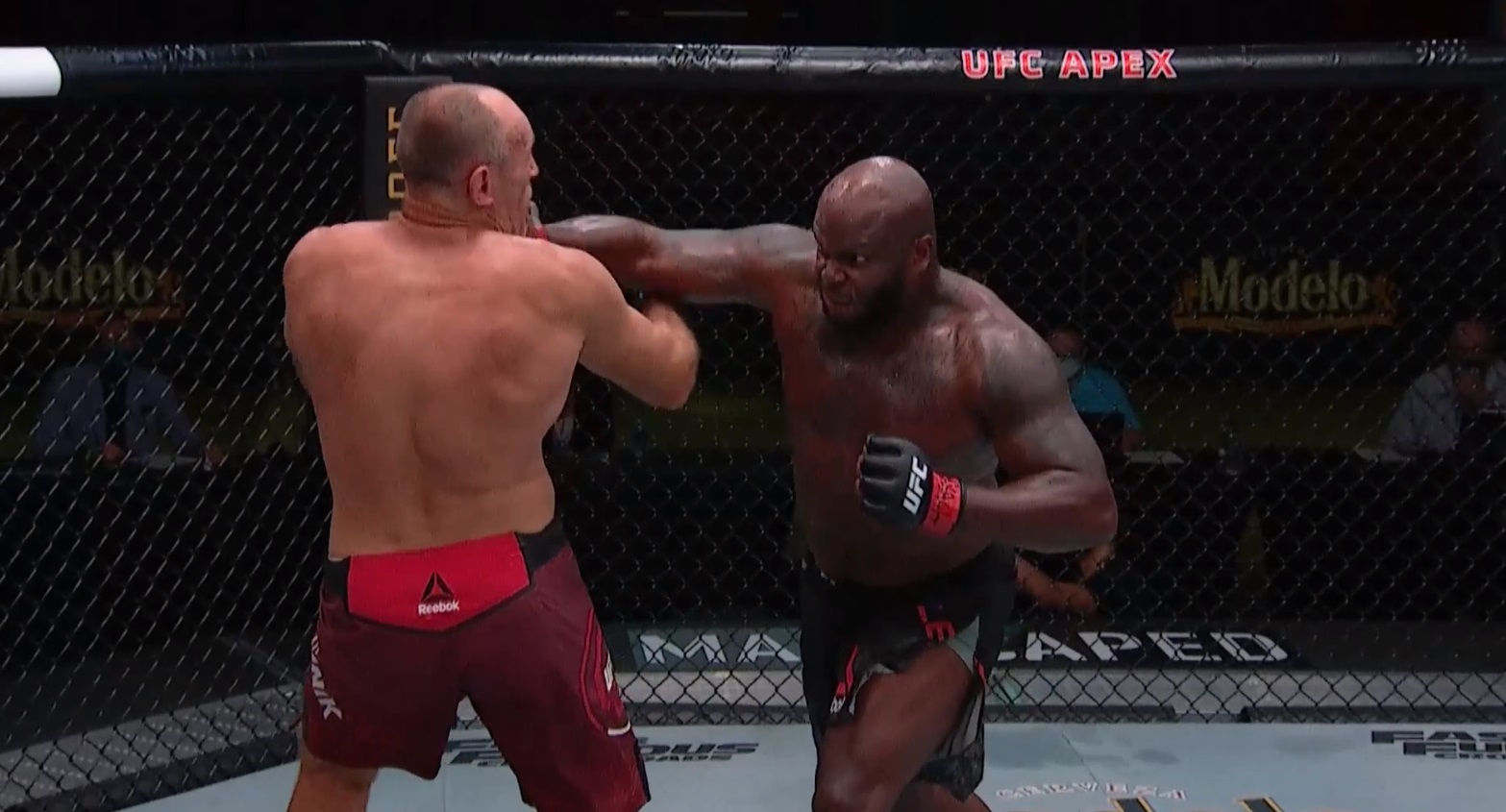 Oleinik vs. Lewis