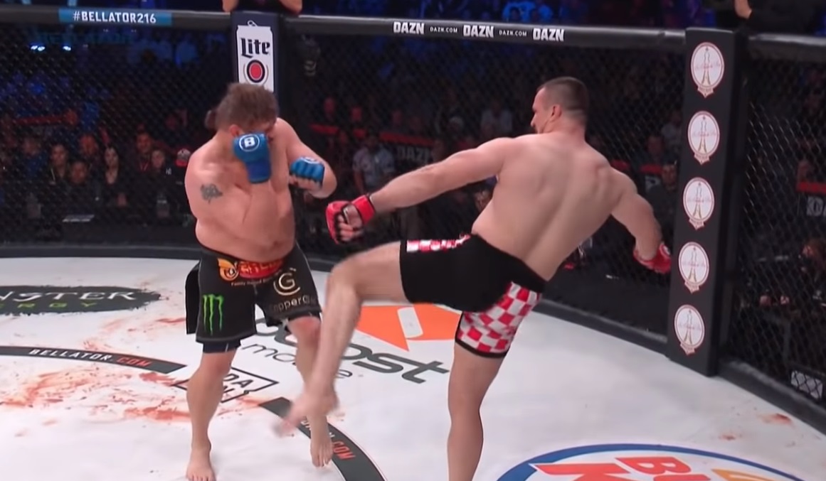 Nelson vs. Cro Cop