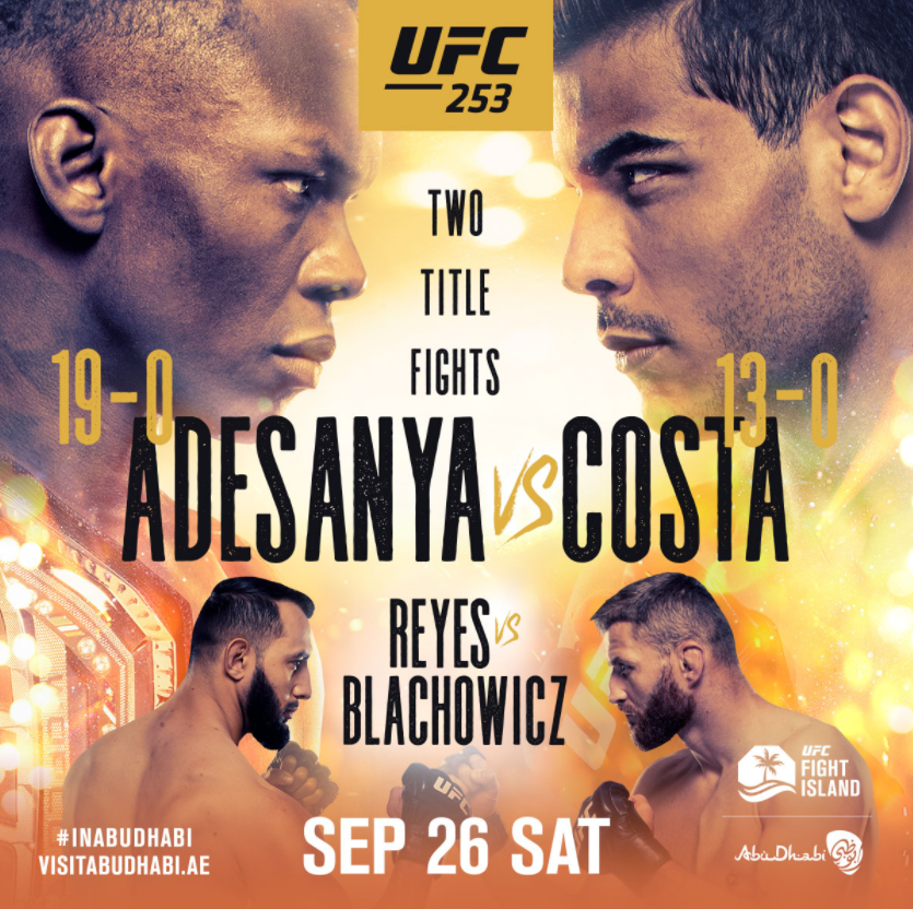 UFC 253 poster