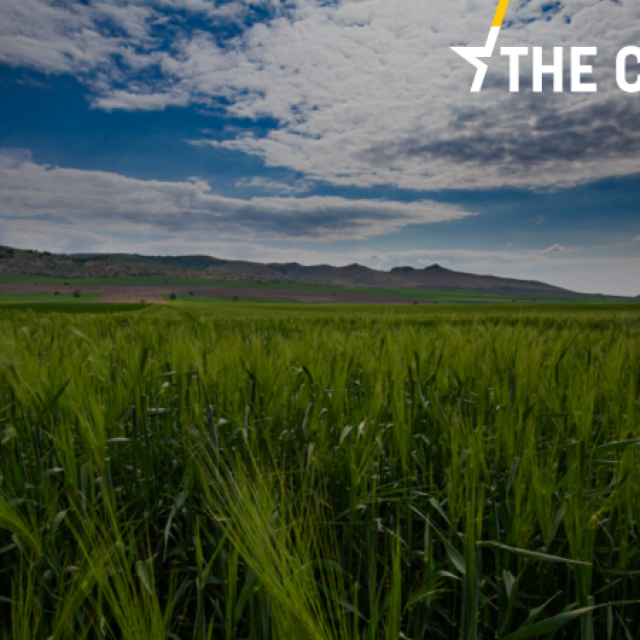The Romanian government has decided to ban exports of wheat, corn, rice, sunflower and other grains, but also vegetable oil, sugar and various bakery products for as long as the Covid-19 state of emergency is in force. 
