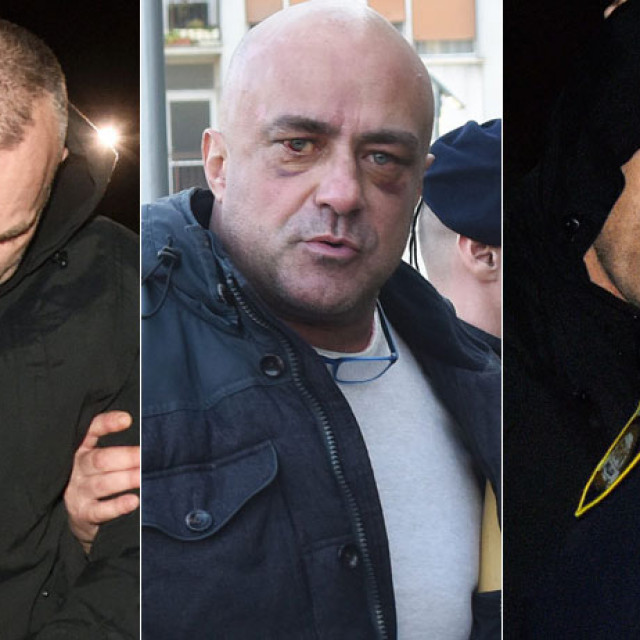 Darko Purgar, Leon Lučić i Andrija Vrhovac