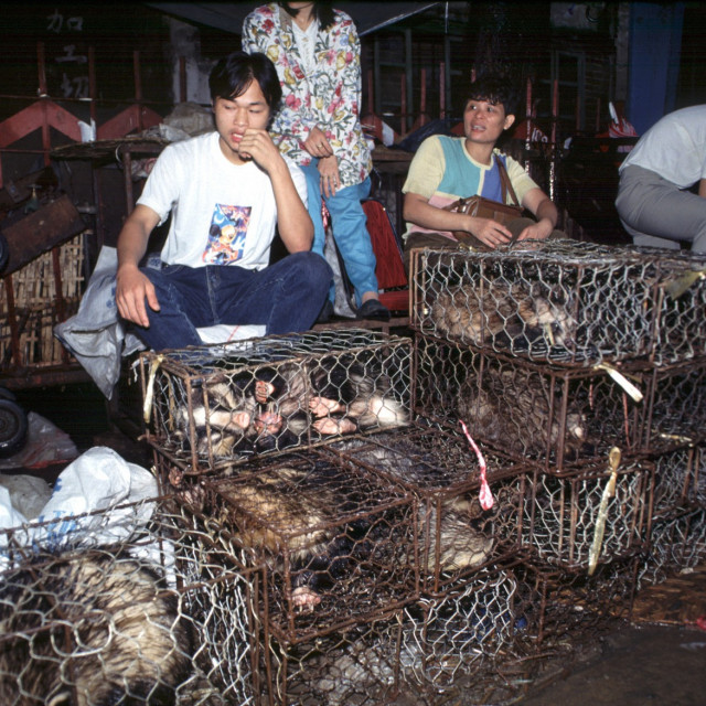 profimedia-0494838131