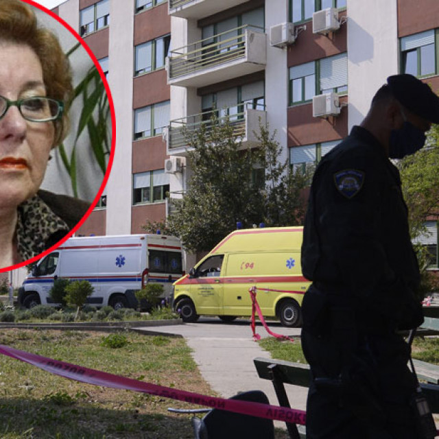 vlasta