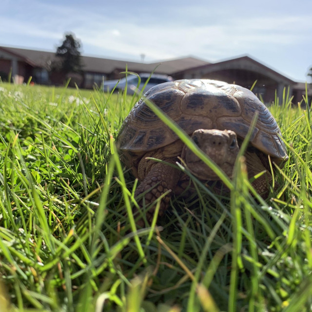 profimedia-0511458354