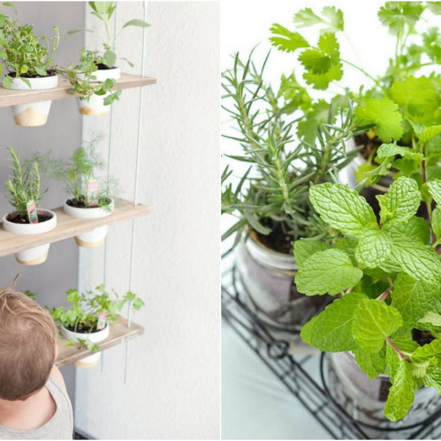 Začinski vrt collage