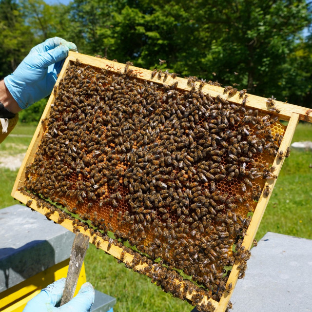 profimedia-0488296694