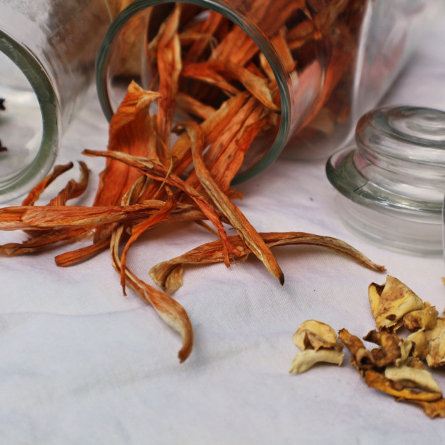 rebecca-matthews-RiEmzV5F4_o-unsplash