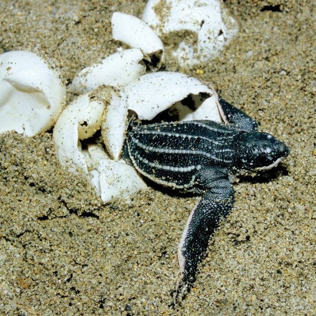 profimedia-0294028873