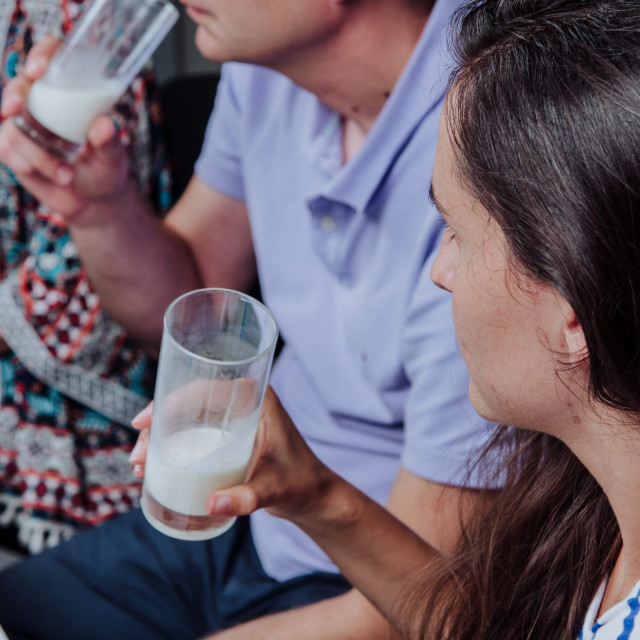 test_mlijeka1-080819