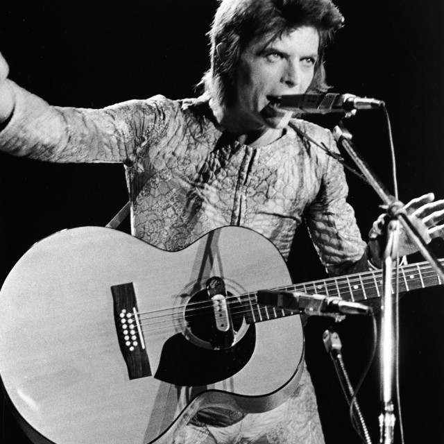 David Bowie