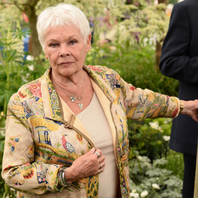 Judi Dench