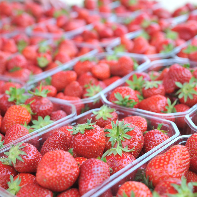 jagode_dolac5-040619