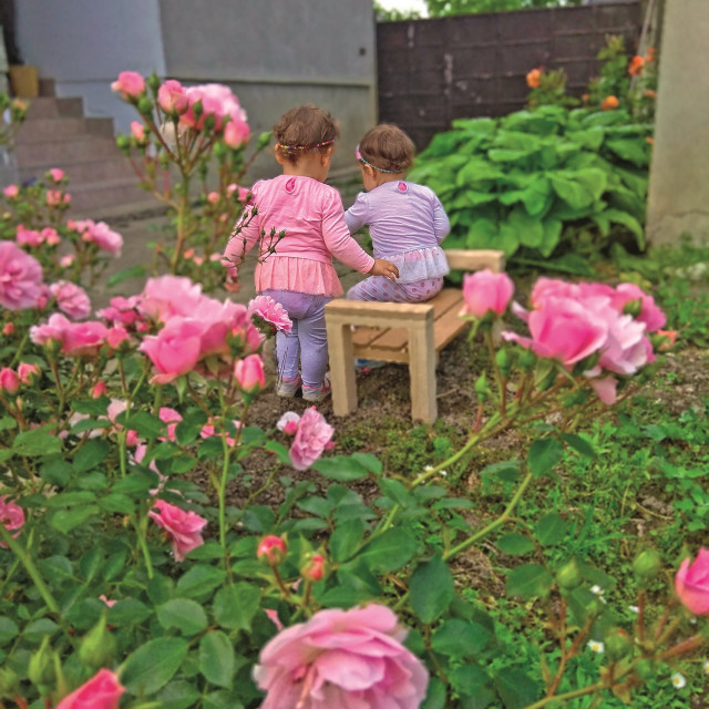 Dvogodišnje blizanke Marta i Klara, koje su tatu nadahnule za izradu dječjeg namještaja.
