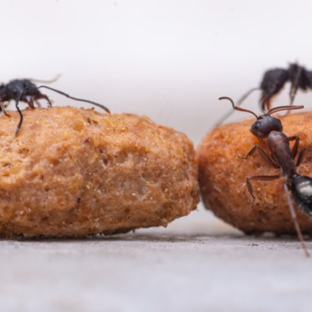 gabriel-gabriel-nWdOmdkk-6U-unsplash