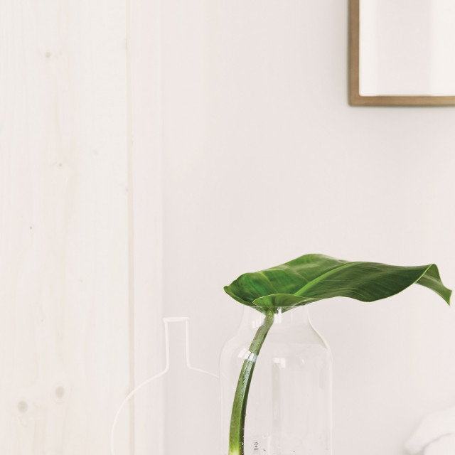 living4media-12533983-HiRes-Purist-arrangement-of-leaf-in-glass-vase_1