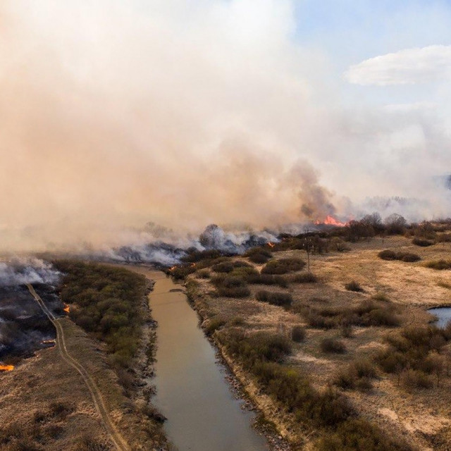 profimedia-0513823369