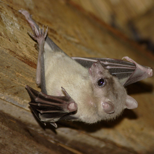 profimedia-0161750503