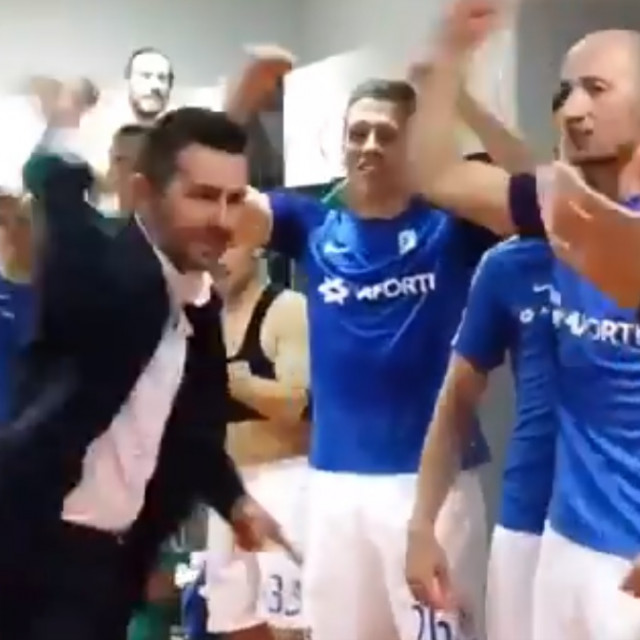 bjelica