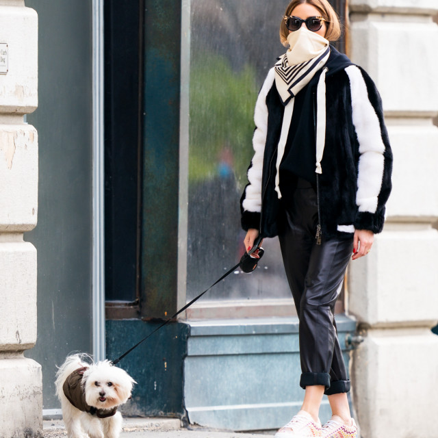 profimedia-0515744874