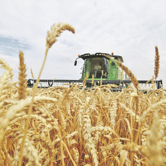 307213-393105-AFP_1QU053_1