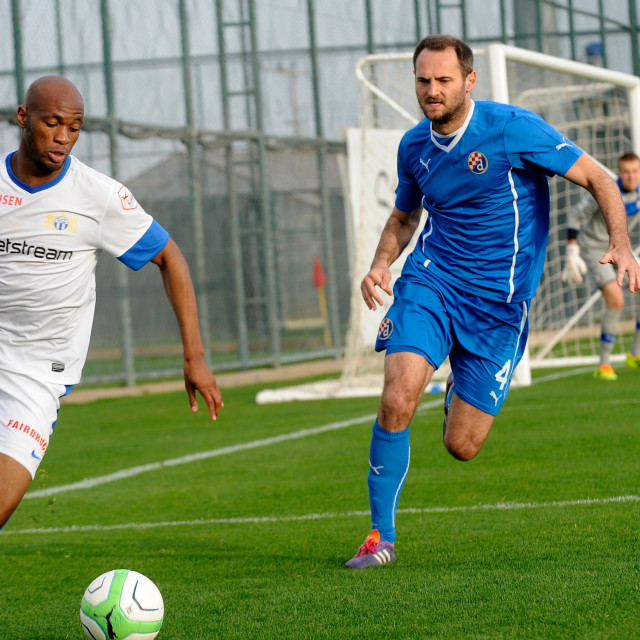 dinamo_zurich13-210114