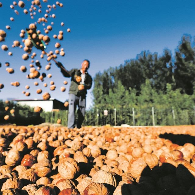 306907-393221-051_XxjpbeE001639_20180907_TPPFN0A001_1