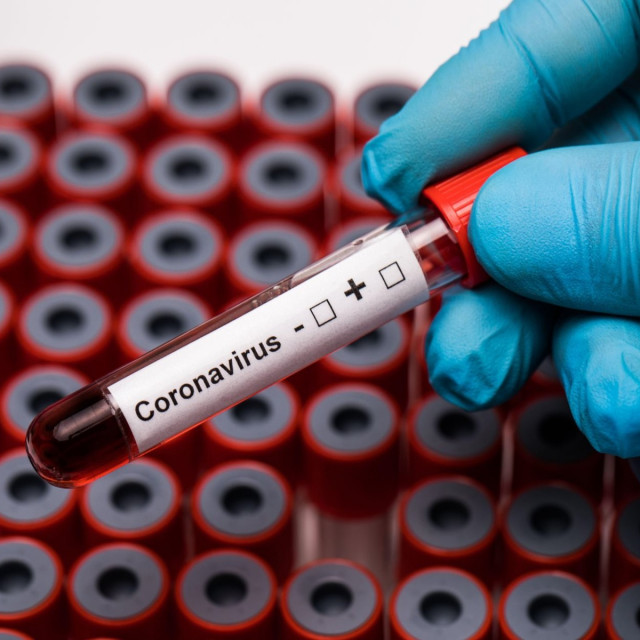 profimedia-0511063679