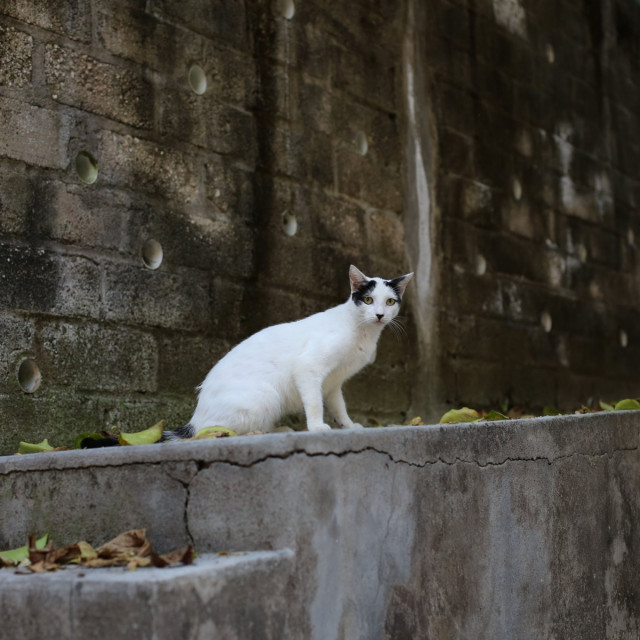 profimedia-0180238132