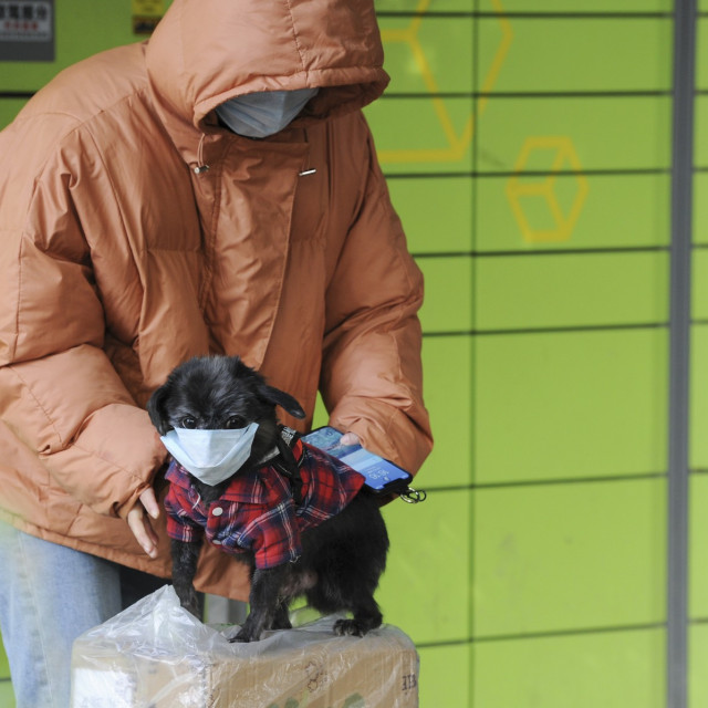 profimedia-0499469743