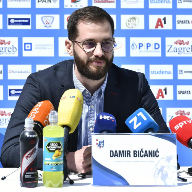 Damir Bičanić