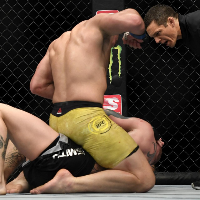 Glover Teixeira i Anthony Smith