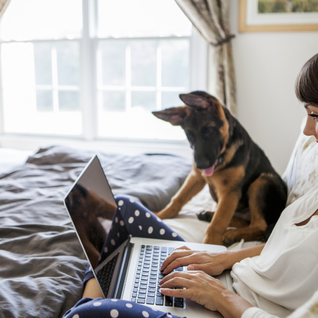 iStock-1147988830