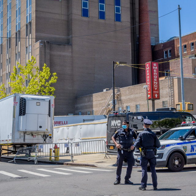 profimedia-0519071268