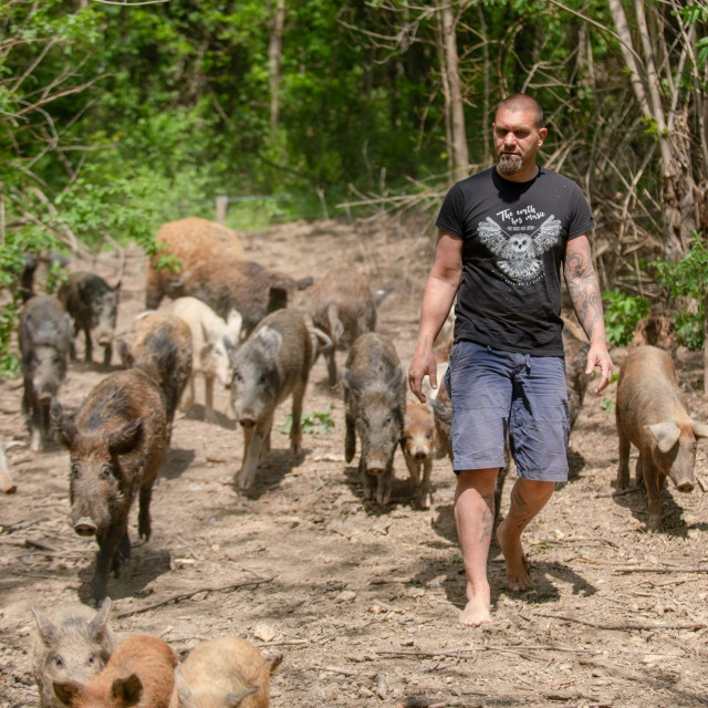 shumska_farma28-280420