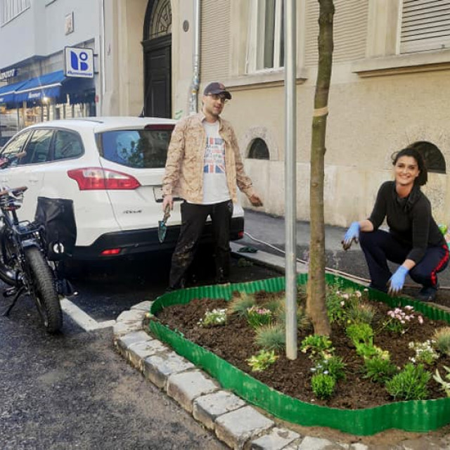 Martina Živković sa susjedom je krajem travnja odlučila u kazeti drveta posaditi biljke i napraviti ga ljepšim za sve svoje sugrađane