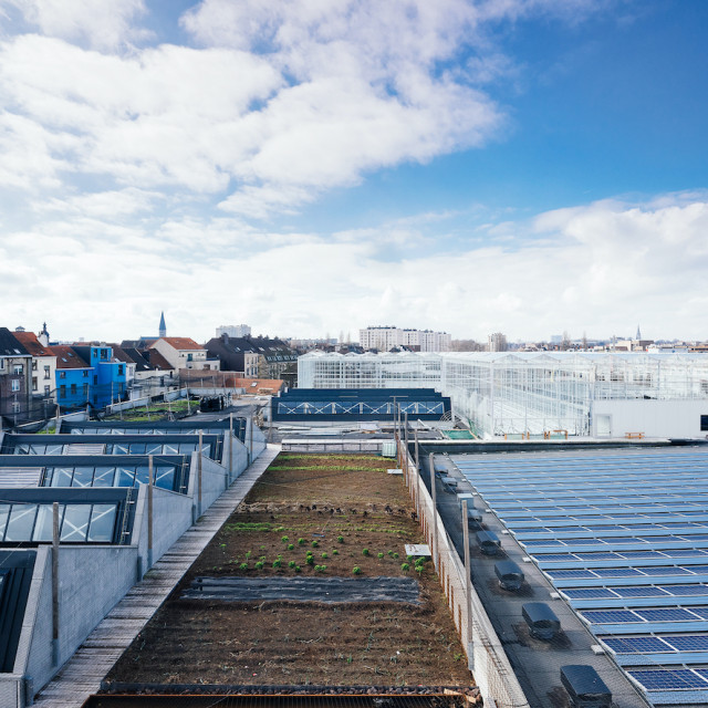 BIGH_Ferme-Abattoir-by-melvinkobe.com_4