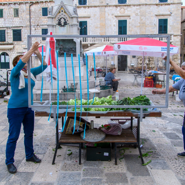 golubovi_trznica02-160520