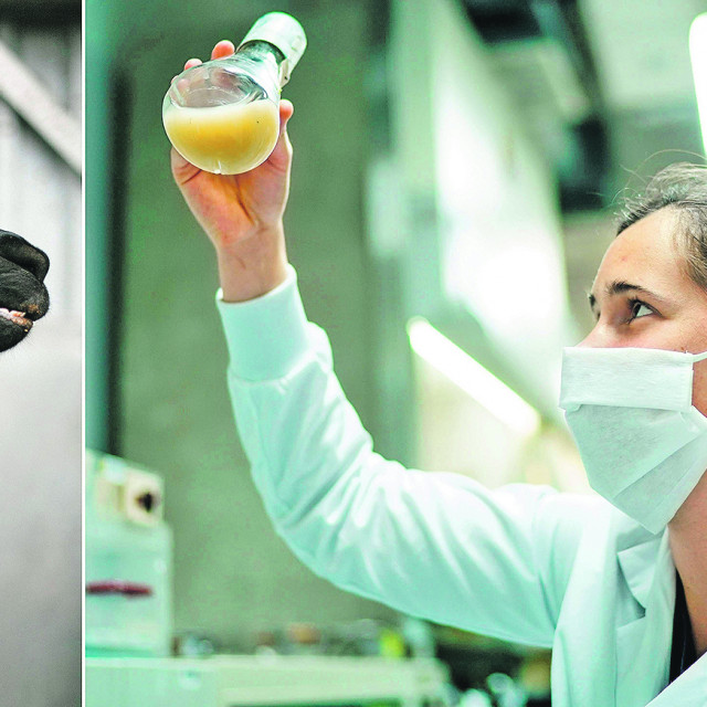 310691-398339-AFP_1R61EJ