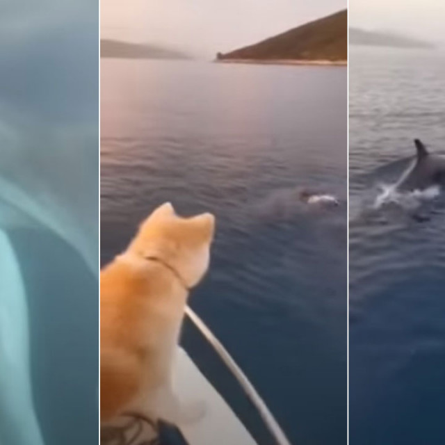 Dupini kod Drvenika Velikog