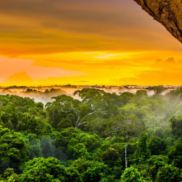 profimedia-0346855014