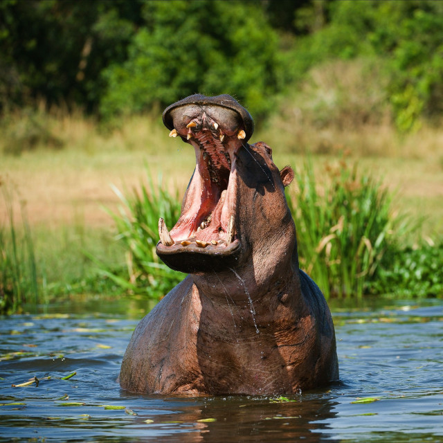 profimedia-0087187431